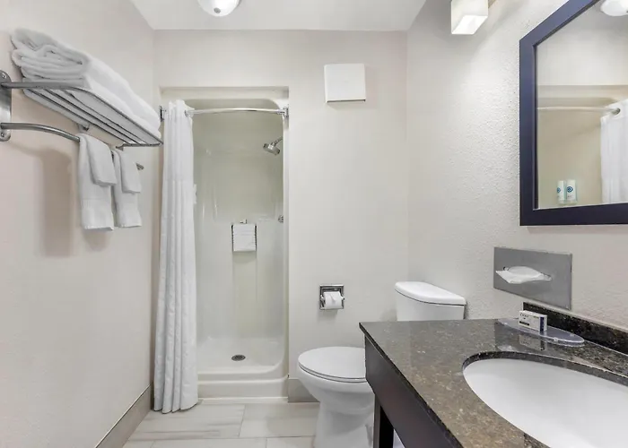 Comfort Near I-57 Inn 4*