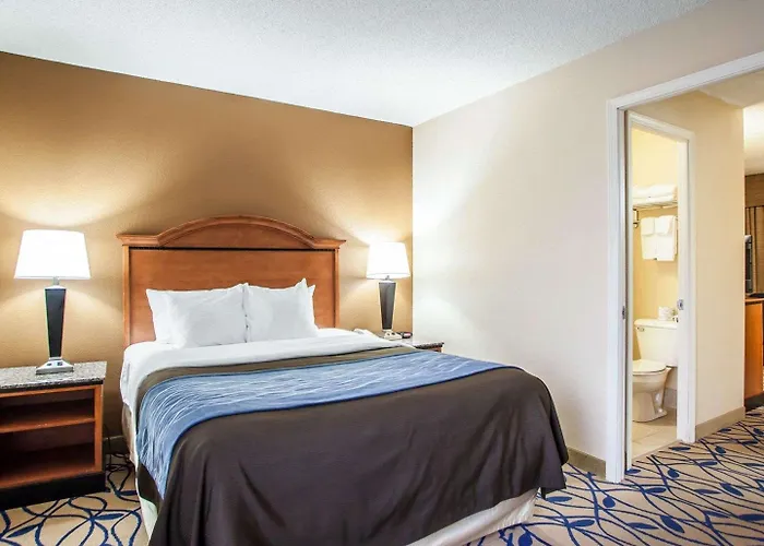 Comfort Near I-57 Inn 4*