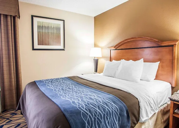 Comfort Near I-57 Inn 4*
