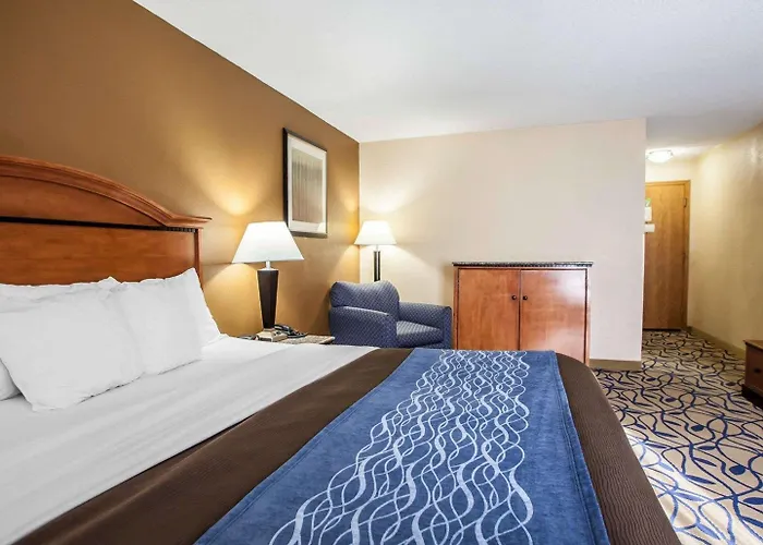 Comfort Near I-57 Inn