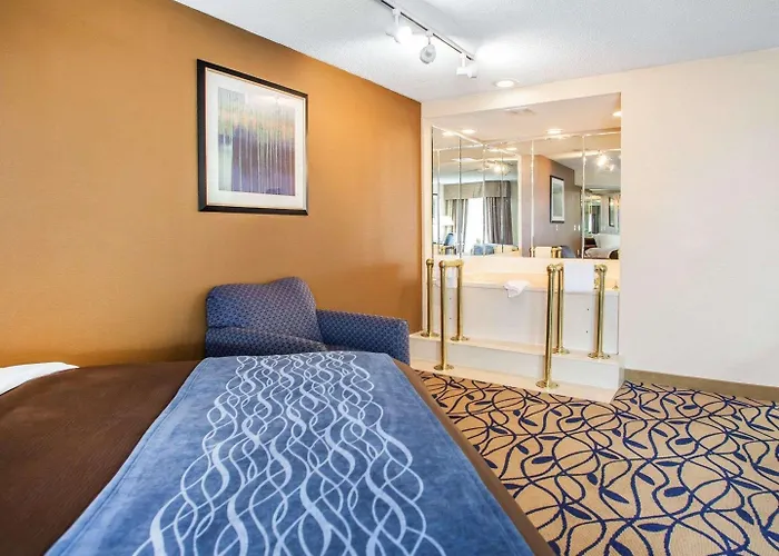 Comfort Near I-57 Inn 4*
